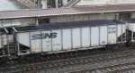NS 31064