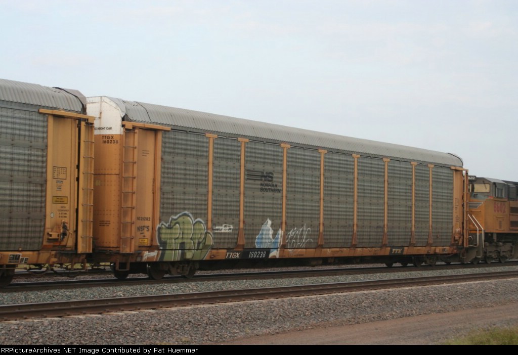 TTGX 160238