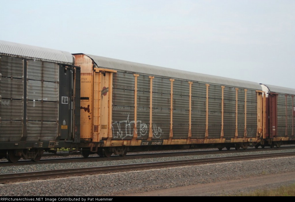 TTGX 965483