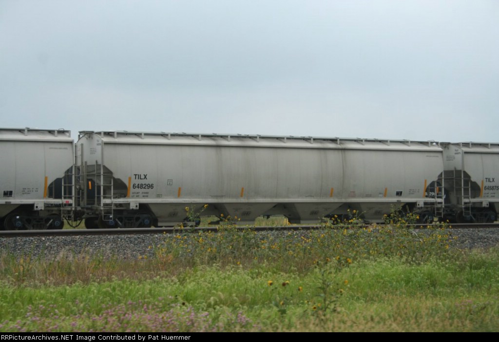 TILX 648296