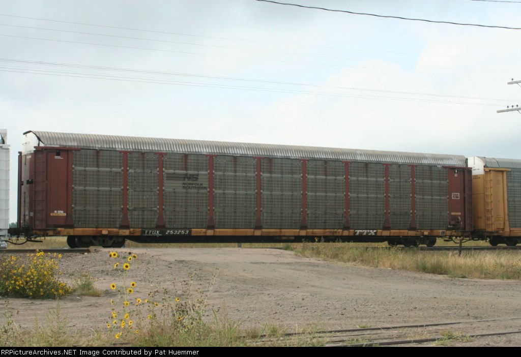 TTGX 253253