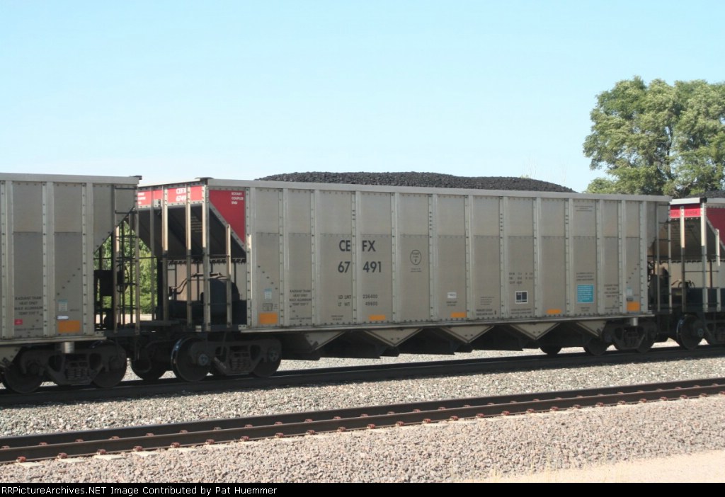 CEFX 67491