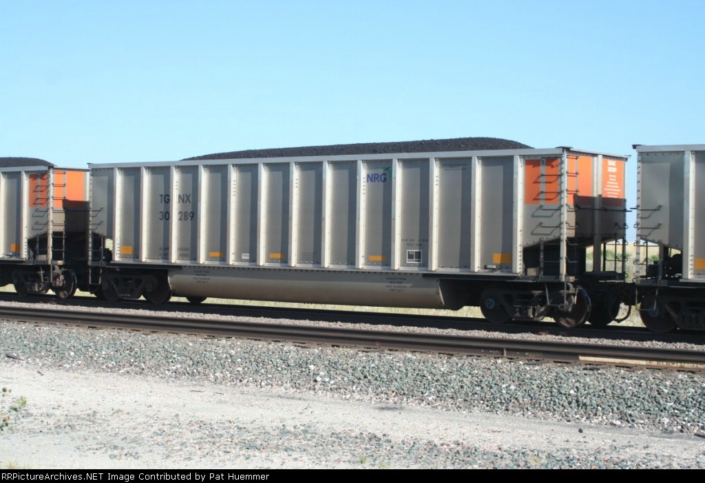 TGNX 30289