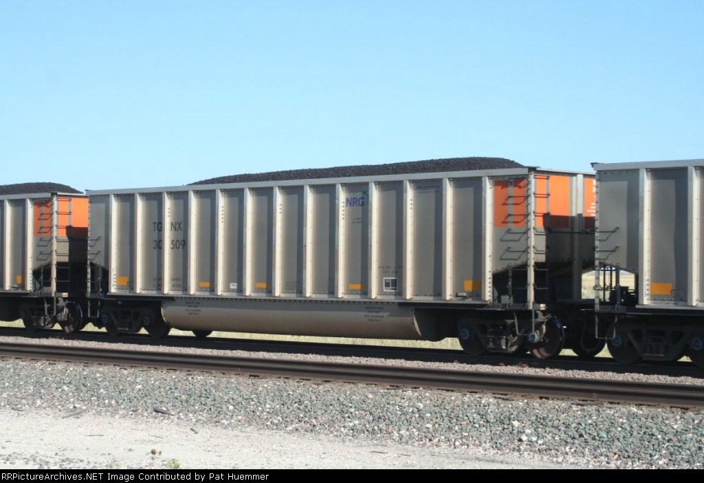 TGNX 30509