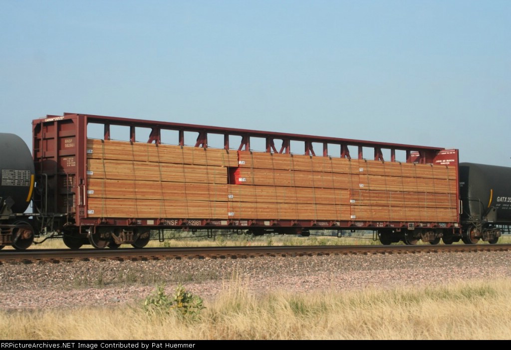 BNSF 562981