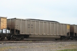 COEH 6006