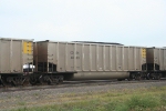 COEH 6003