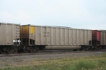 COEH 6651