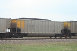 COEH 7135
