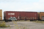 NS 411141