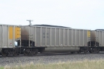 COEH 6074