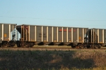 BSNF 651902