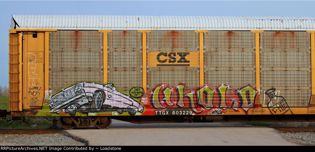 TTGX 603229