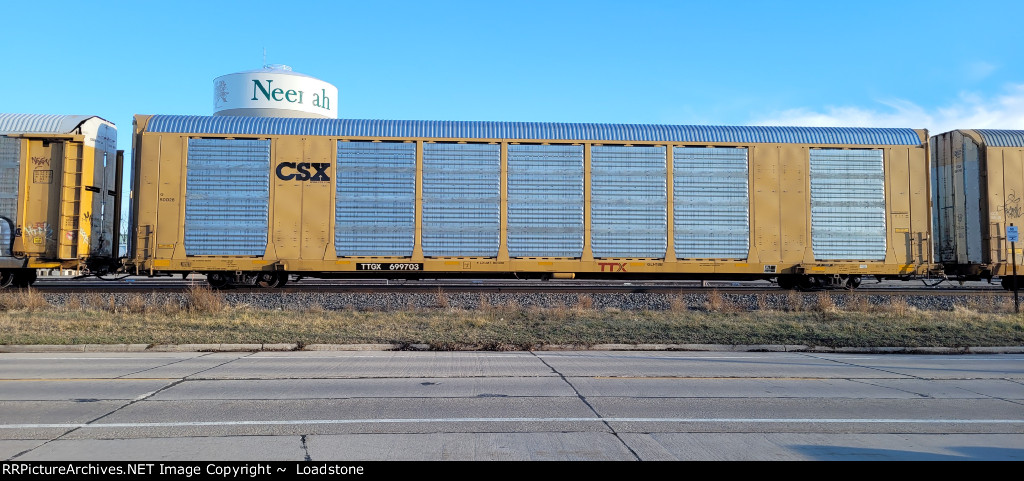 TTGX 699703