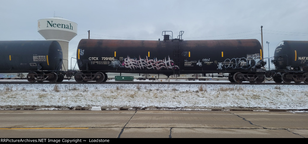 CTCX 729186