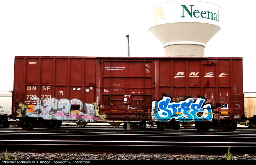 BNSF 729233