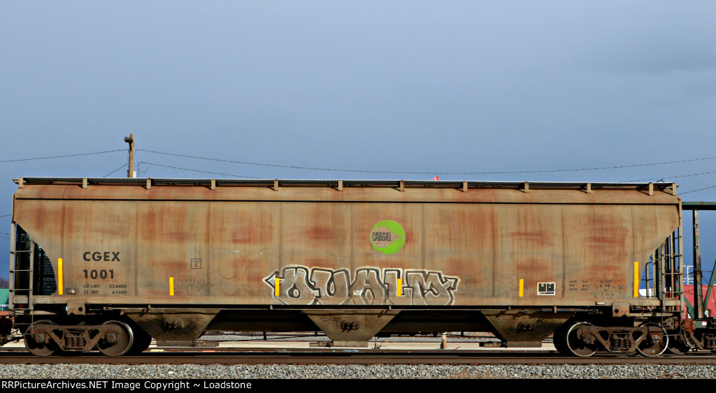 CGEX 1001