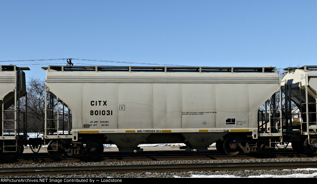 CITX 801031