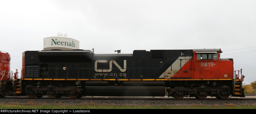 CN 8019