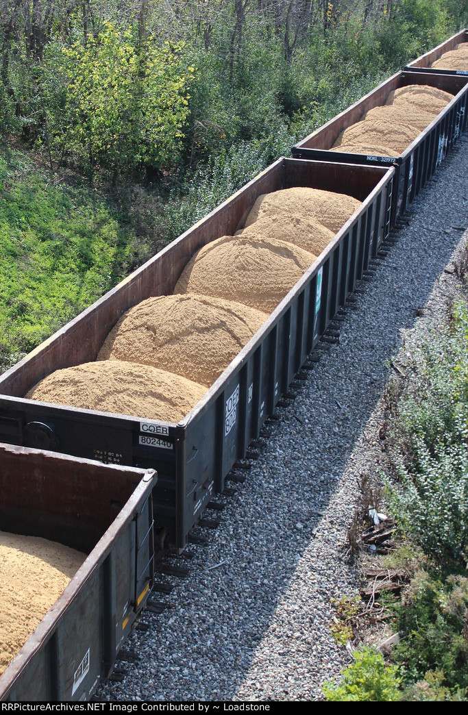 COER 802440 NOKL 321972