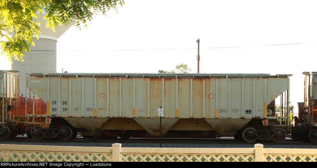 CRDX 8029