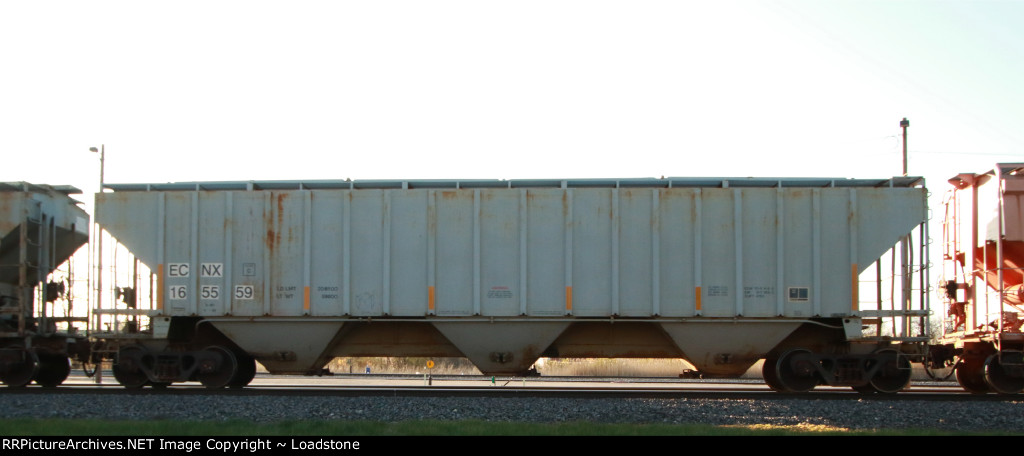 ECNX 165559