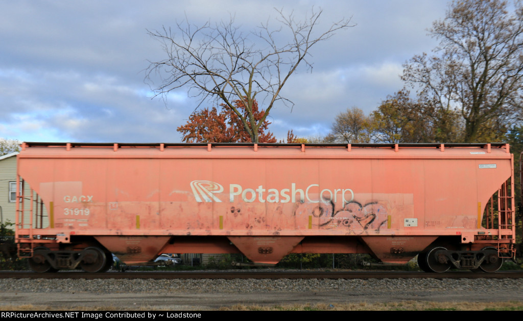 GACX 31919