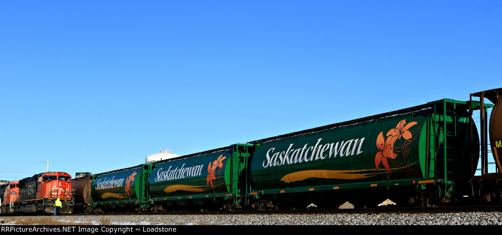 MGLX 397021 MGLX 397090 MGLX 397431