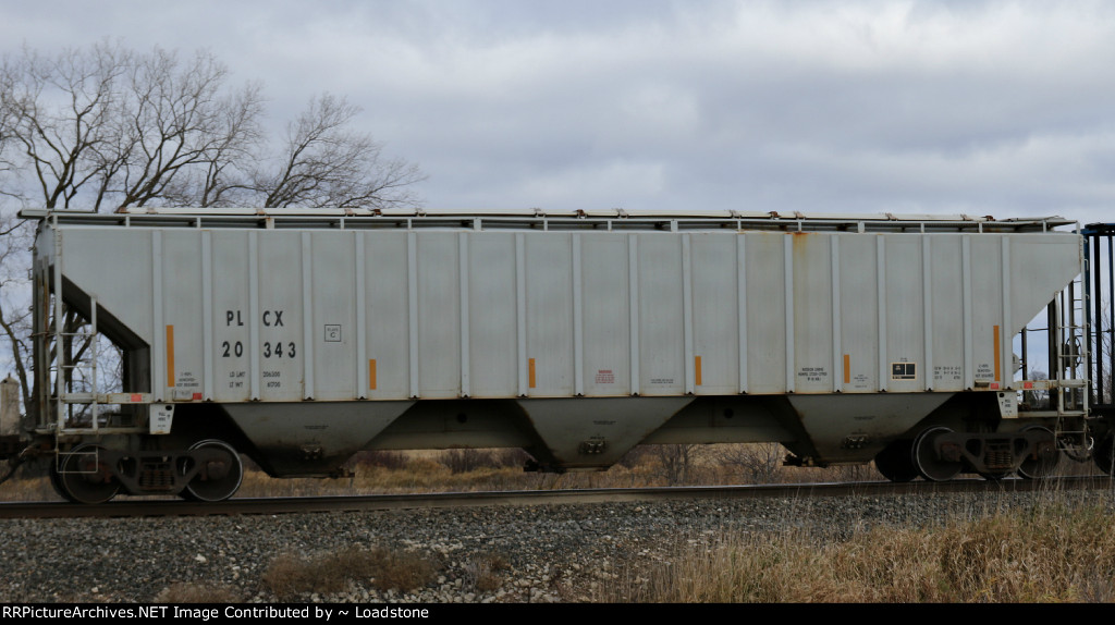 PLCX 20343