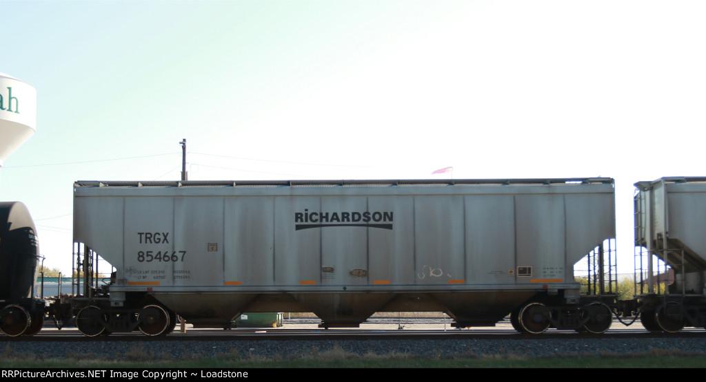TRGX 854667