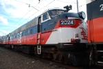 CDOT #2024