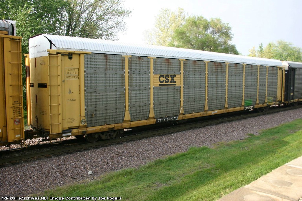 TTGX 603375