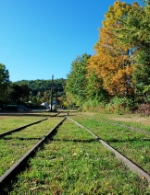 Buckland Freight Yard