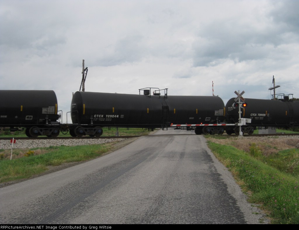 CTCX 729044