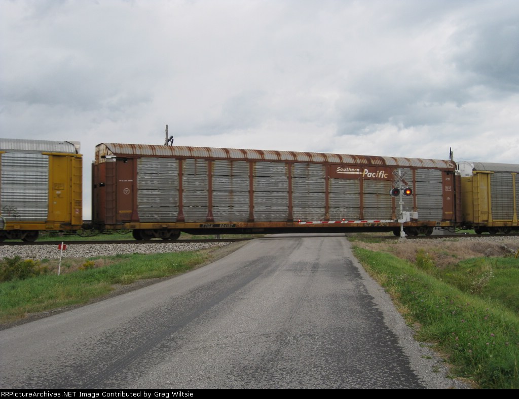 TTGX 604187