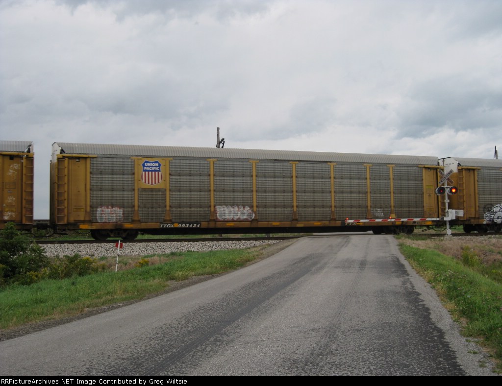 TTGX 993434