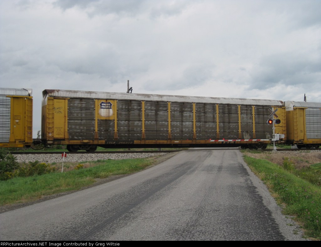 TTGX 256222