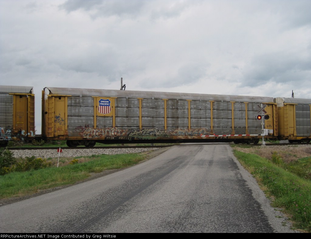 TTGX 603121