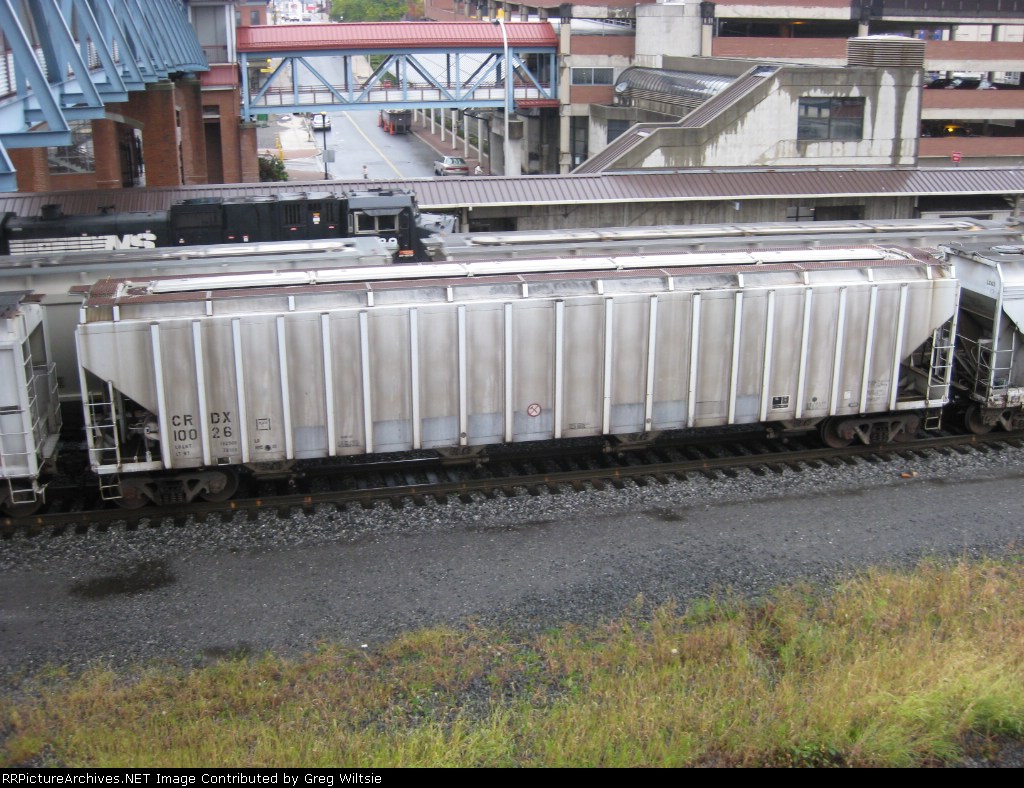 CRDX 10026