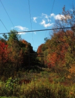 A clear cut tree line over the Hoosac Tunnel