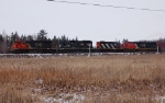 CN 5365