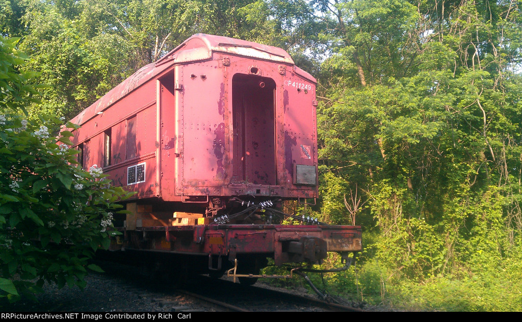 CP 411249 on the "Y"