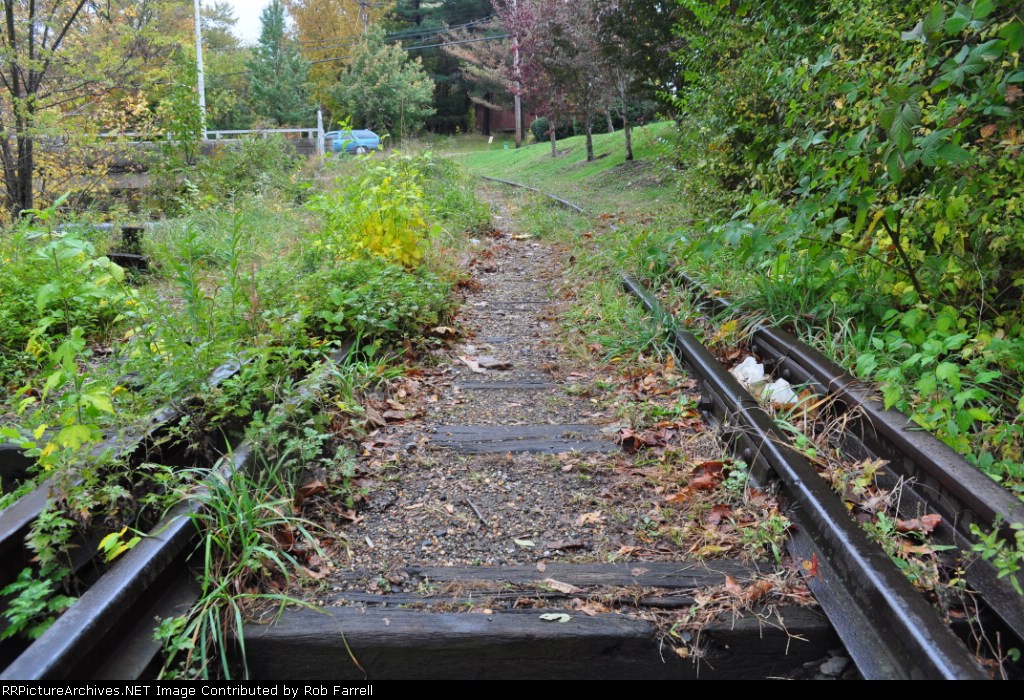 The path to yesterday. 