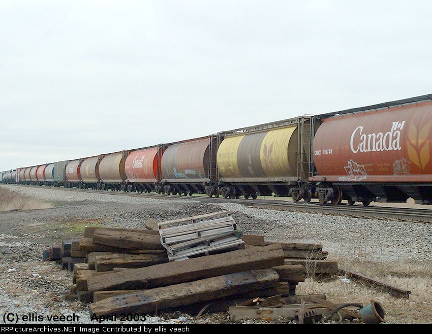 Canadian Grain Cars