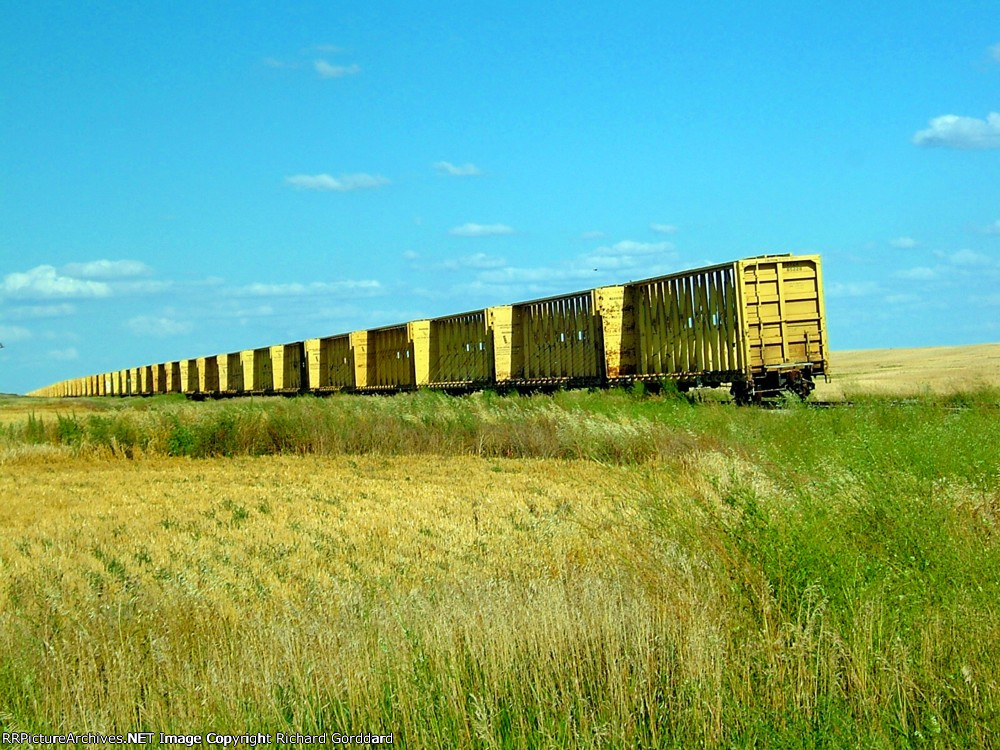 Lumber Cars In Storage