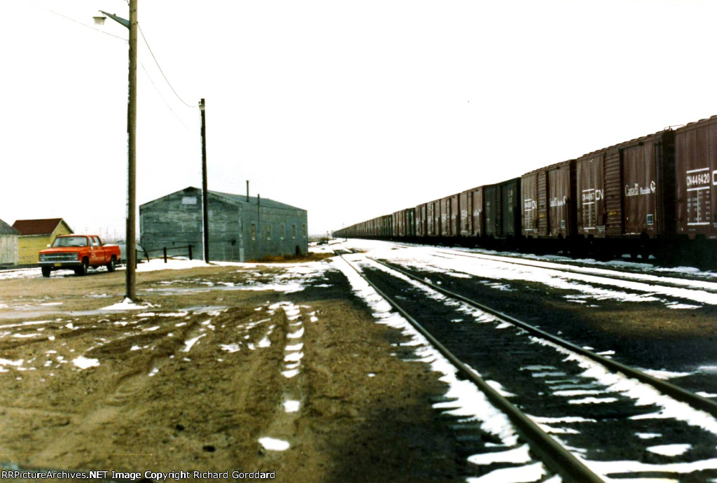 Long line of Manitoba 40 foot box cars
