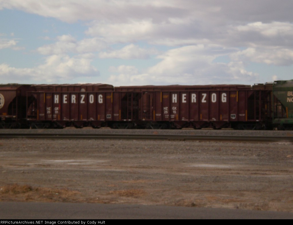 Herzog cars string 1