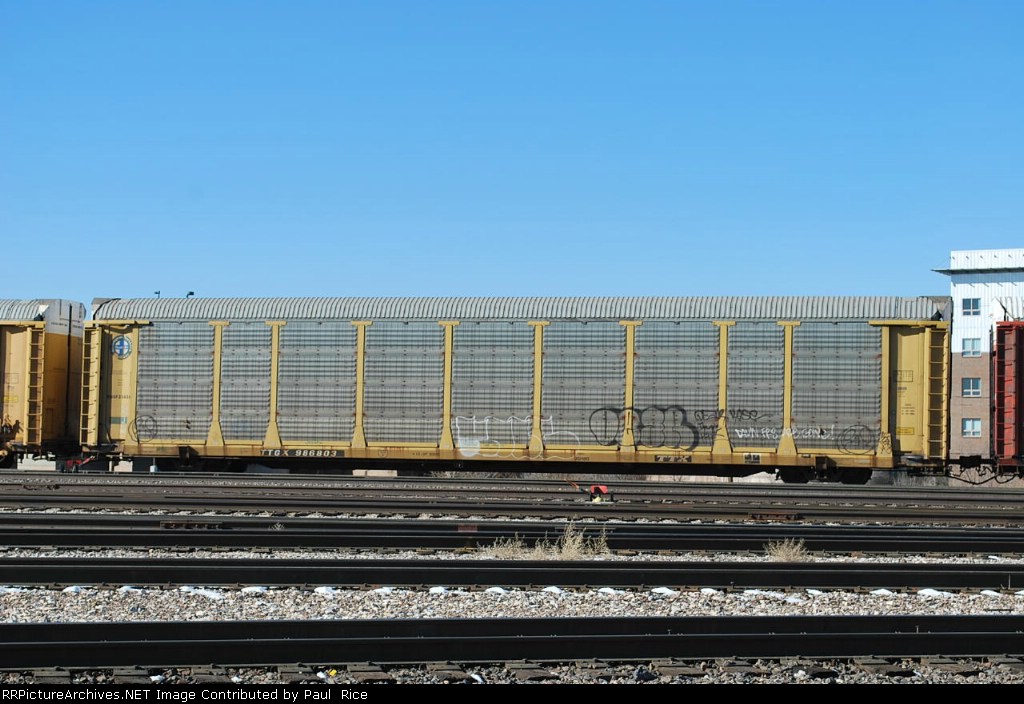 TTGX 986803