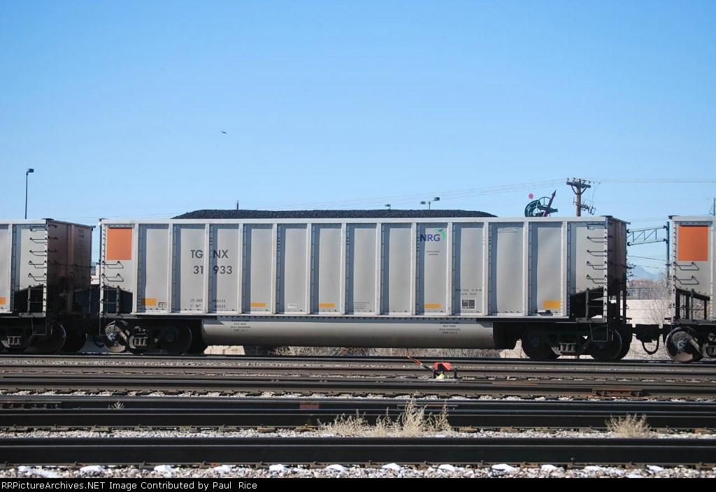 TGNX 31933