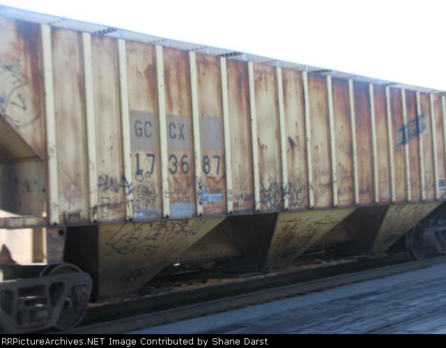 GCCX 173687